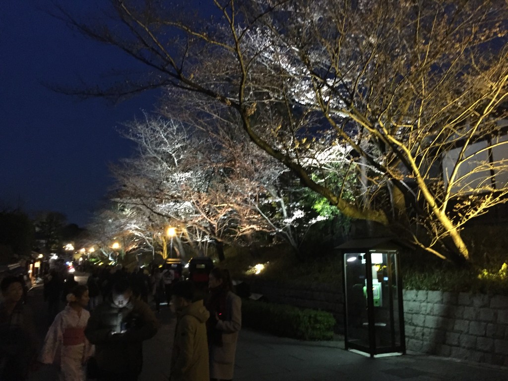 高台寺の桜