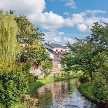 写真：日本酒好きでなくとも盃がすすむ京都の銘酒